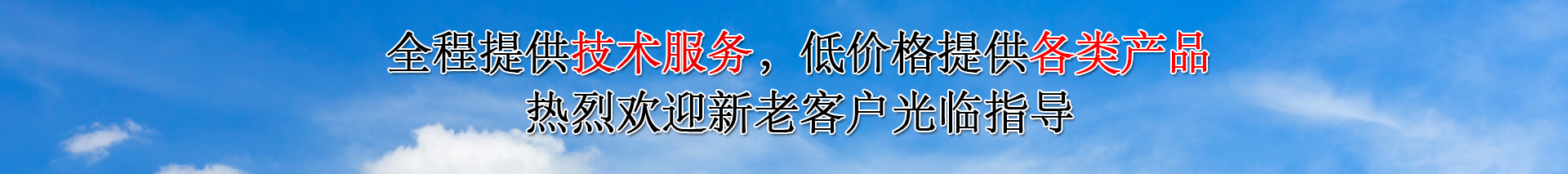 技术服务